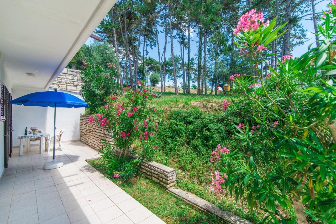 Apartments Pino Rabac Bagian luar foto